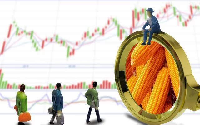 2025.5.6 山东玉米价格总结 | 深加工企业报价分析